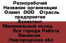 Разнорабочий › Название организации ­ Олимп, ООО › Отрасль предприятия ­ Ассистент › Минимальный оклад ­ 25 000 - Все города Работа » Вакансии   . Новгородская обл.,Великий Новгород г.